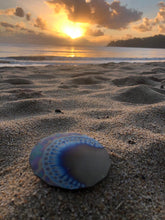 Load image into Gallery viewer, Small 5G Oyster Tesla's Plate