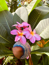 Load image into Gallery viewer, Small 5G Oyster Tesla's Plate