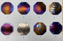 Load image into Gallery viewer, Tesla's Large Octagonal House Plate