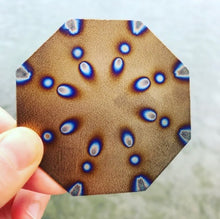 Load image into Gallery viewer, Tesla's Plates Computer Plate